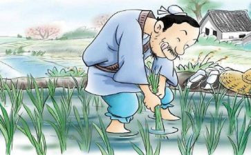 《拔苗助长》读后感精选7篇