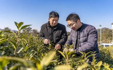 传帮带心得体会范文6篇