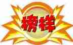 《榜样》5心得体会最新5篇