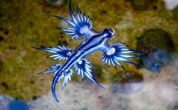 上生物心得体会模板6篇