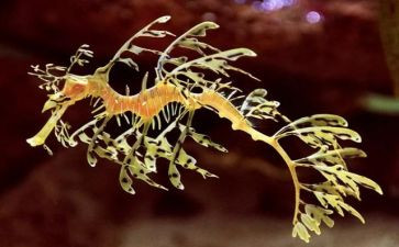 初中生物教师工作计划5篇