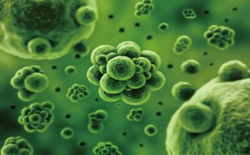 上生物心得体会最新5篇