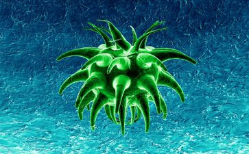 高中生物教师述职报告8篇