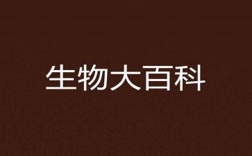 生物教师的工作总结精选7篇
