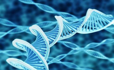 初一生物教师工作总结8篇
