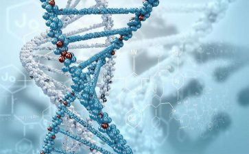 生物调查调查报告8篇