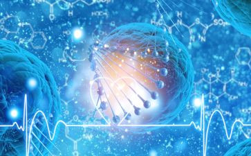 初二生物上学期工作总结6篇