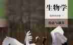 初中生物教师个人工作计划6篇