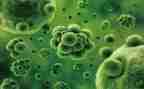 上生物心得体会最新5篇