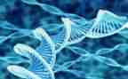生物生物调查报告6篇