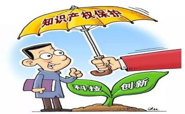 保护头的教案模板5篇