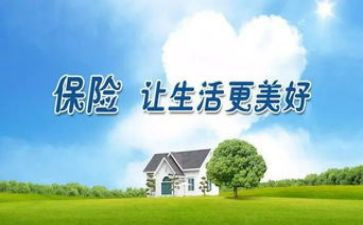 保险调研报告8篇