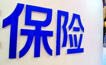 保险公司年终总结范文8篇