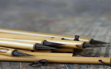 阅读笔记及阅读心得体会8篇