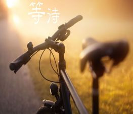 别等待作文800字6篇
