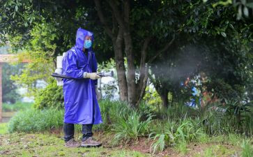 局病媒生物防制工作计划6篇