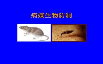 2023病媒生物工作计划8篇