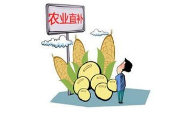 补贴自查报告7篇
