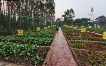 菜根谭心得体会800精选6篇