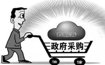 采购人述职报告8篇