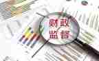 财政局工作总结个人范文8篇