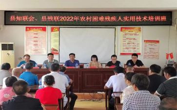 残疾联工作总结6篇