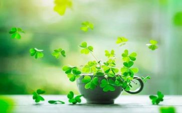 草木生读后感6篇