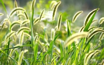 2024烟草稽查员工作总结8篇