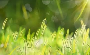 作文《草船借箭》读后感6篇