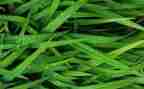 个人烟草年度总结范文6篇
