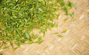 关于茶的调查报告范文模板7篇