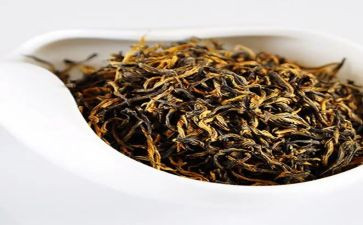 有关茶的调查报告8篇