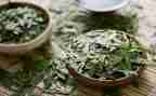与茶有关的读后感优质7篇
