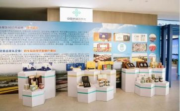 产品经理年度工作总结8篇
