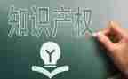 知识产权活动方案8篇