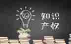 宣传知识产权活动总结8篇