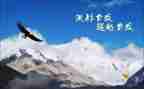 关于超越的作文优质7篇