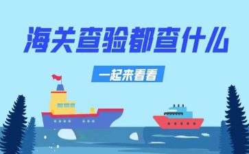 查验岗工作总结8篇