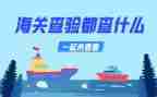 查验岗工作总结8篇