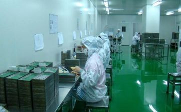 车间副述职报告8篇