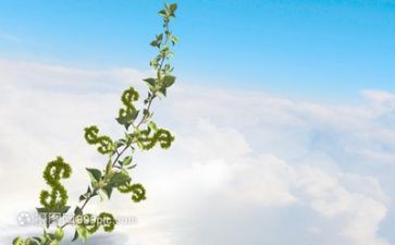 成长和心得体会参考7篇