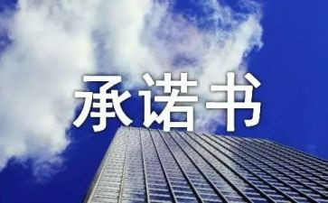 农民工工资发放承诺书6篇