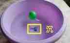 幼儿园中班沉与浮教案优质8篇