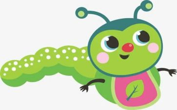 中班幼儿七星瓢虫教案8篇