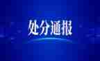 党纪律处分心得通用5篇