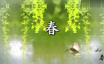 沁园春·春教案5篇