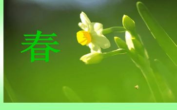 演讲稿励志青春励志500字6篇