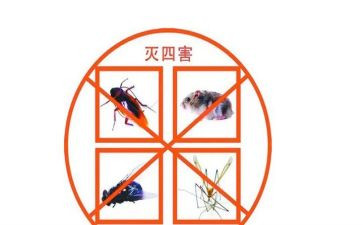 除四害工作计划2022年7篇