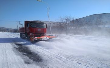 公司除雪工作总结5篇