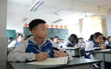 初中生物教师个人教学工作总结6篇